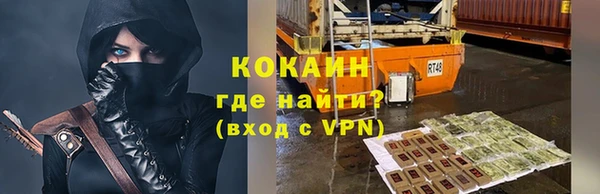 дживик Алзамай