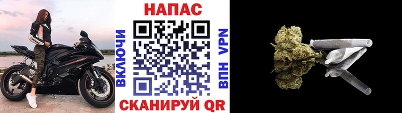 Шишки марихуана OG Kush  Злынка 